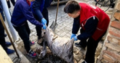 【市城市燃熱集團(tuán)富泰熱力】巴彥、安裝分公司黨支部組織開展學(xué)雷鋒志愿服務(wù)活動(dòng)